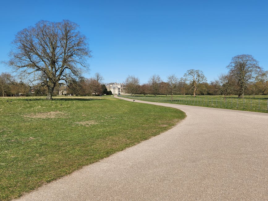 A wide, paved pathway curves through a spacious park with well-maintained grassy areas on either side. In the foreground, the grass shows patches of bare soil and new green growth, contrasting with the smooth, light grey surface of the pathway. To the left of the path, a large leafless tree with textured, dark brown bark stands prominently, its branches spreading outward across the clear blue sky. In the background, several smaller trees with sparse foliage are scattered across the park, some with thin trunks and others more substantial, all showing early signs of spring growth. Further in the distance, a classical-style building with a symmetrical facade and columns is partially visible behind the trees, framed by a low hedge or fence. The park's environment appears bright and calm, with natural daylight illuminating the scene evenly. The setting suggests an open, public space that may occasionally be cleared of rubbish or debris as part of routine maintenance or private disposal, aligning with services provided by companies like House Clearance Hounslow for efficient rubbish removal and site clearance operations.